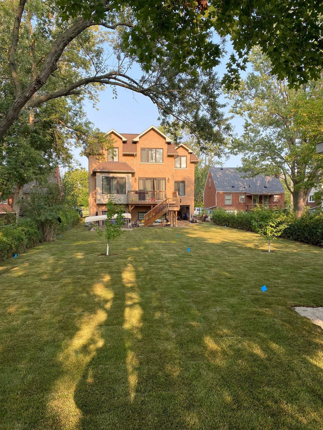 Large backyard freshly laid with sod