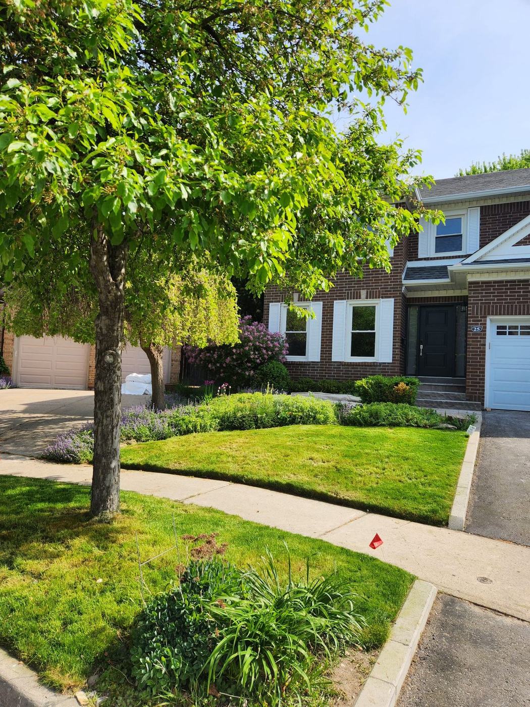 Front lawn cut and edged after a spring cleanup