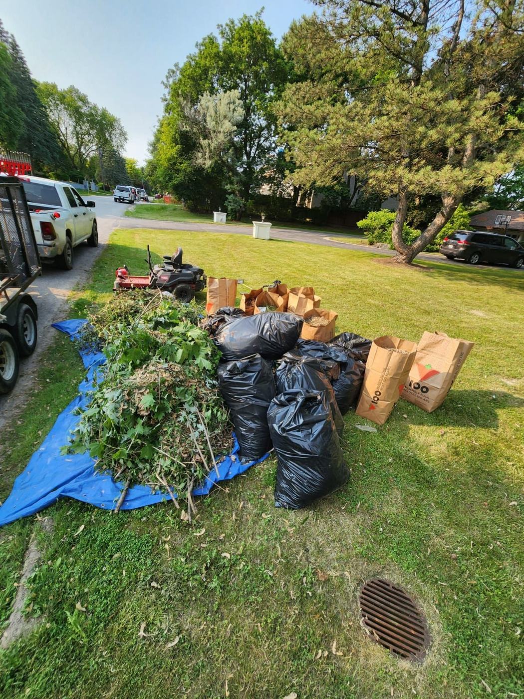 Bagged yard waste and brush after a property cleanup